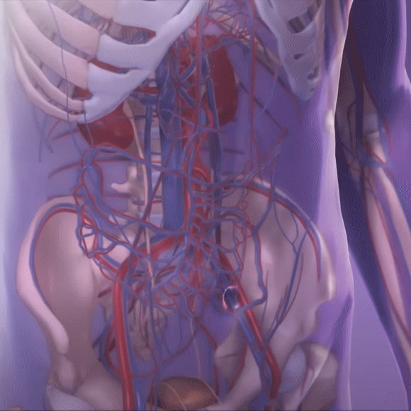 Cargar video: 